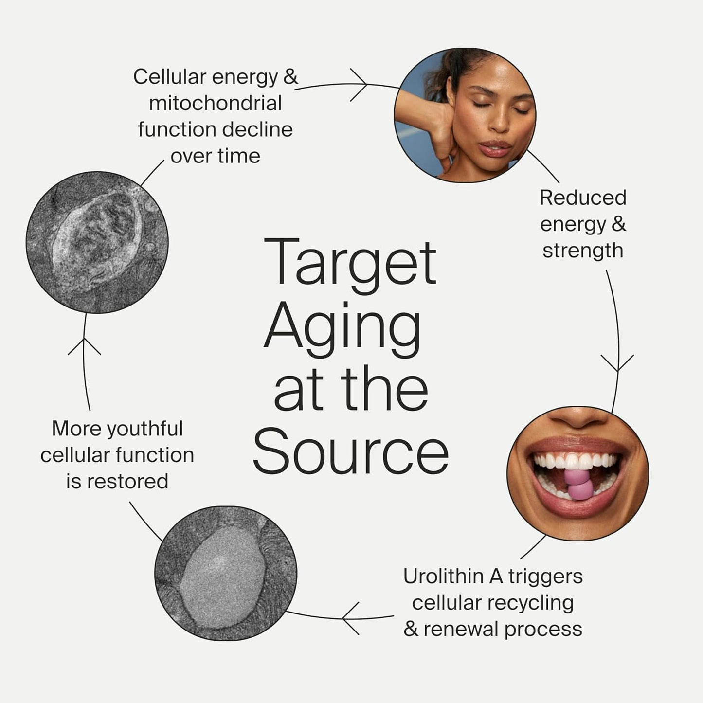 Timeline Mitopure Urolithin A Supplement Gummies